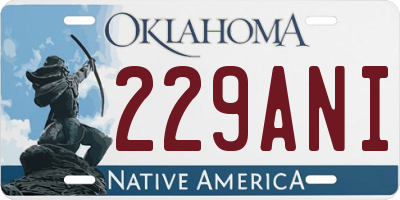 OK license plate 229ANI