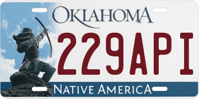 OK license plate 229API