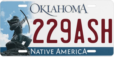 OK license plate 229ASH