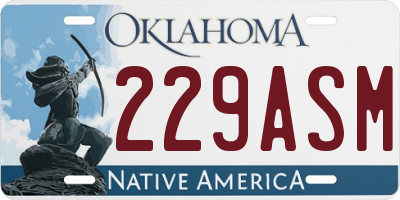 OK license plate 229ASM