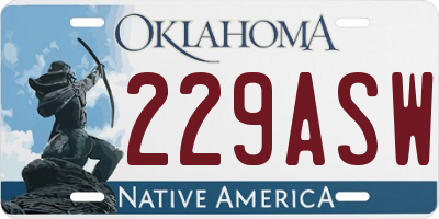 OK license plate 229ASW