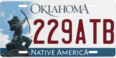 OK license plate 229ATB