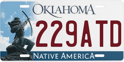OK license plate 229ATD