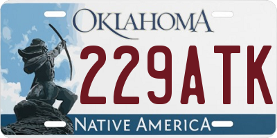 OK license plate 229ATK
