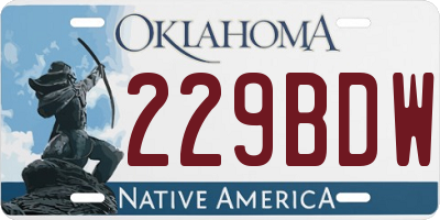 OK license plate 229BDW
