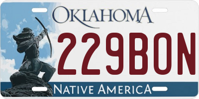 OK license plate 229BON