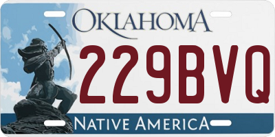 OK license plate 229BVQ