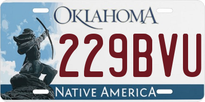 OK license plate 229BVU
