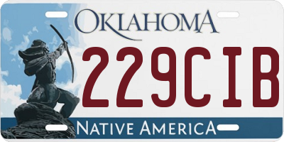 OK license plate 229CIB