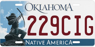 OK license plate 229CIG