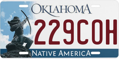 OK license plate 229COH