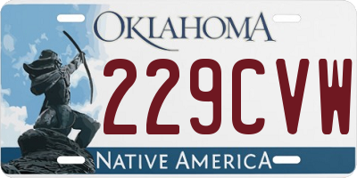 OK license plate 229CVW