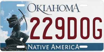 OK license plate 229DOG