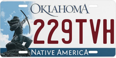 OK license plate 229TVH