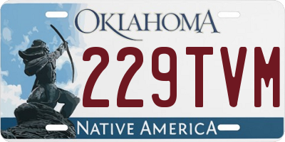 OK license plate 229TVM