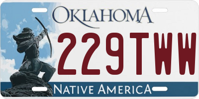 OK license plate 229TWW