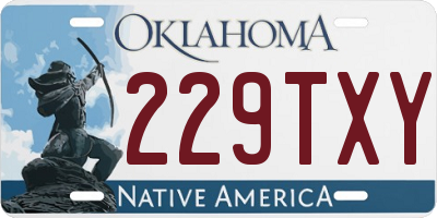 OK license plate 229TXY