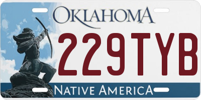 OK license plate 229TYB
