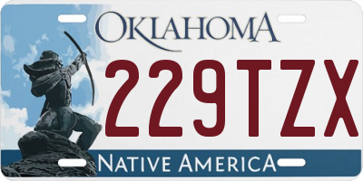 OK license plate 229TZX