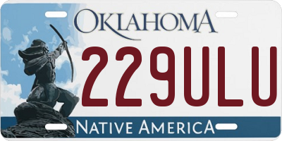 OK license plate 229ULU