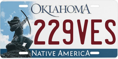 OK license plate 229VES