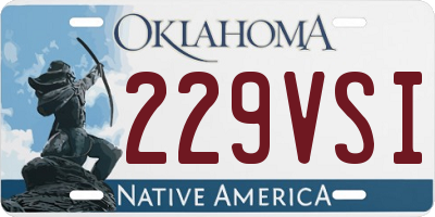 OK license plate 229VSI