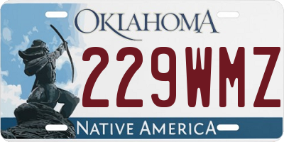 OK license plate 229WMZ