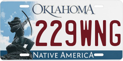 OK license plate 229WNG
