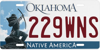 OK license plate 229WNS