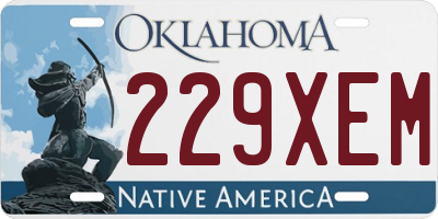 OK license plate 229XEM