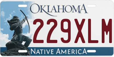OK license plate 229XLM
