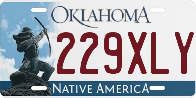 OK license plate 229XLY