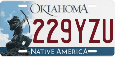 OK license plate 229YZU