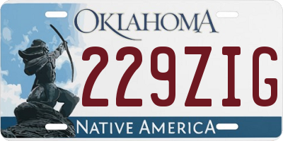 OK license plate 229ZIG