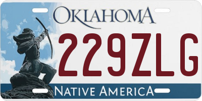 OK license plate 229ZLG