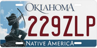 OK license plate 229ZLP