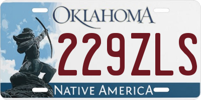 OK license plate 229ZLS