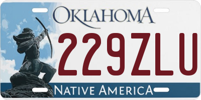 OK license plate 229ZLU