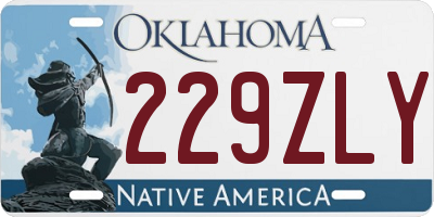 OK license plate 229ZLY