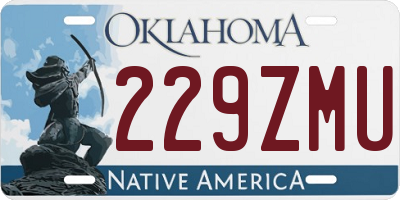 OK license plate 229ZMU