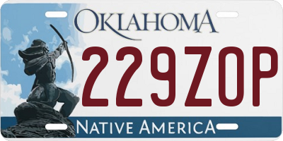 OK license plate 229ZOP