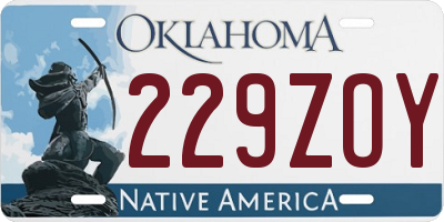 OK license plate 229ZOY