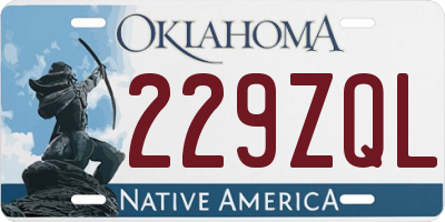 OK license plate 229ZQL