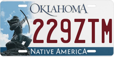 OK license plate 229ZTM