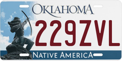 OK license plate 229ZVL