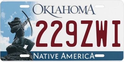 OK license plate 229ZWI