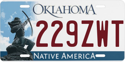 OK license plate 229ZWT