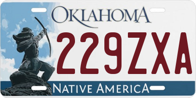 OK license plate 229ZXA