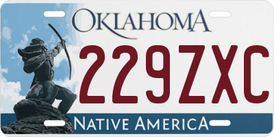 OK license plate 229ZXC