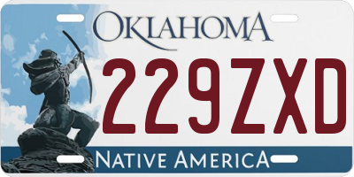 OK license plate 229ZXD